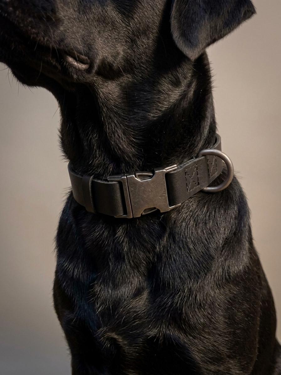 Hakiki Deri Ayarlanabilir Kilitli Köpek Boyun Tasması 5
